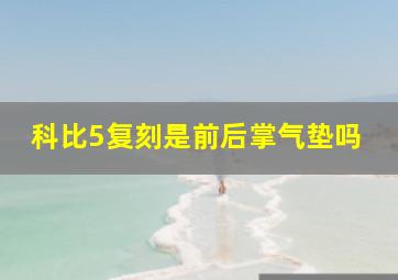 科比5复刻是前后掌气垫吗