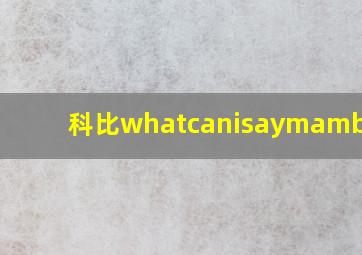 科比whatcanisaymambaout