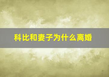 科比和妻子为什么离婚