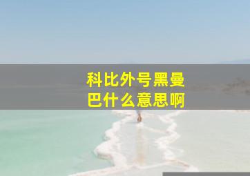 科比外号黑曼巴什么意思啊