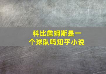 科比詹姆斯是一个球队吗知乎小说