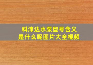 科沛达水泵型号含义是什么呢图片大全视频