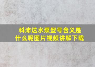 科沛达水泵型号含义是什么呢图片视频讲解下载