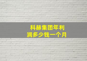 科赫集团年利润多少钱一个月