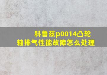 科鲁兹p0014凸轮轴排气性能故障怎么处理