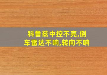 科鲁兹中控不亮,倒车雷达不响,转向不响