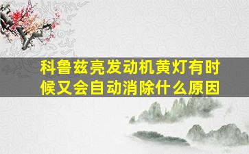 科鲁兹亮发动机黄灯有时候又会自动消除什么原因