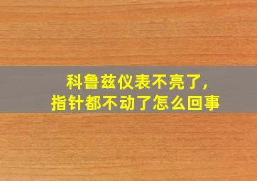 科鲁兹仪表不亮了,指针都不动了怎么回事