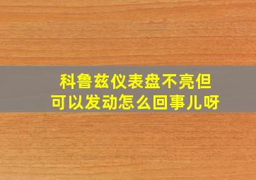 科鲁兹仪表盘不亮但可以发动怎么回事儿呀