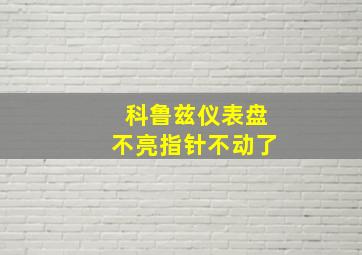 科鲁兹仪表盘不亮指针不动了