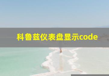 科鲁兹仪表盘显示code