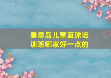 秦皇岛儿童篮球培训班哪家好一点的