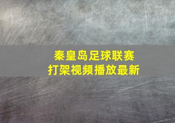 秦皇岛足球联赛打架视频播放最新