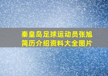 秦皇岛足球运动员张旭简历介绍资料大全图片