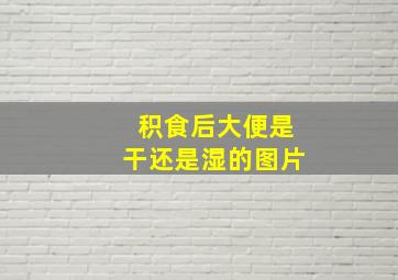 积食后大便是干还是湿的图片