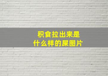 积食拉出来是什么样的屎图片