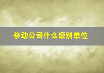 移动公司什么级别单位