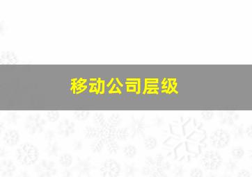 移动公司层级