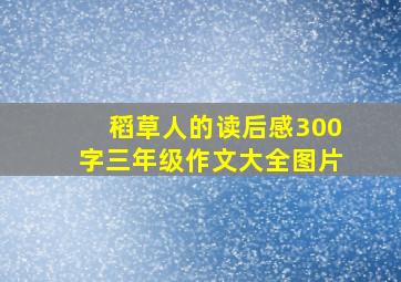 稻草人的读后感300字三年级作文大全图片