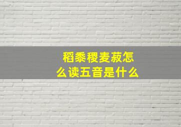 稻黍稷麦菽怎么读五音是什么