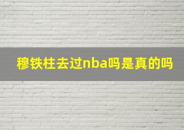 穆铁柱去过nba吗是真的吗