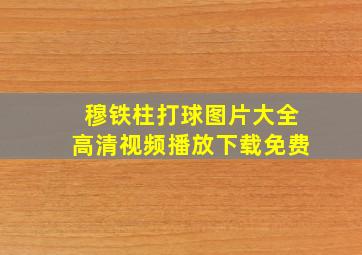 穆铁柱打球图片大全高清视频播放下载免费