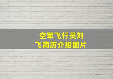 空军飞行员刘飞简历介绍图片