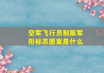 空军飞行员制服军衔标志图案是什么