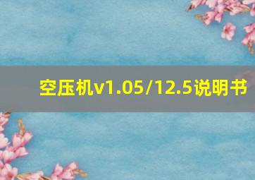 空压机v1.05/12.5说明书