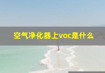 空气净化器上voc是什么