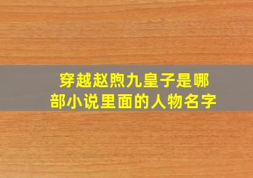 穿越赵煦九皇子是哪部小说里面的人物名字