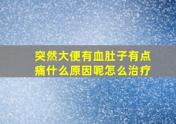 突然大便有血肚子有点痛什么原因呢怎么治疗