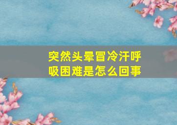 突然头晕冒冷汗呼吸困难是怎么回事