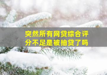 突然所有网贷综合评分不足是被抽贷了吗