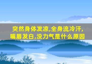 突然身体发凉,全身流冷汗,嘴唇发白,没力气是什么原因