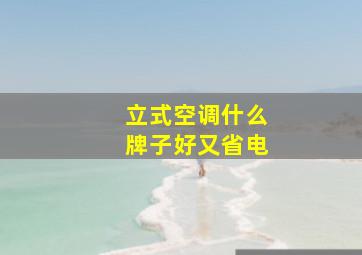 立式空调什么牌子好又省电