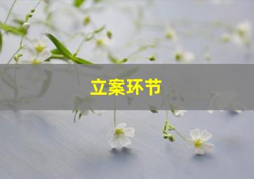 立案环节