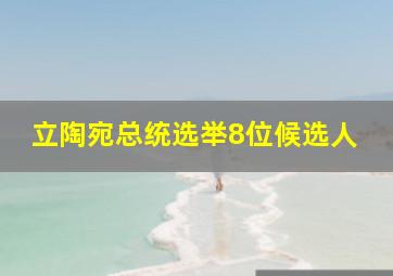 立陶宛总统选举8位候选人