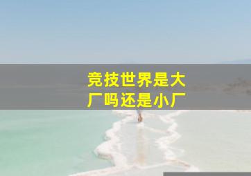 竞技世界是大厂吗还是小厂