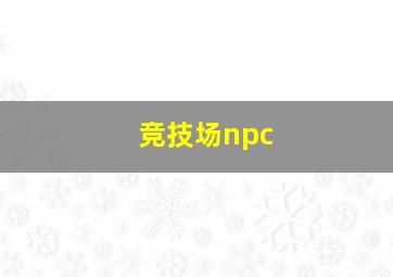 竞技场npc