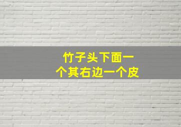 竹子头下面一个其右边一个皮