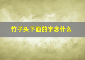 竹子头下面的字念什么