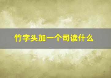 竹字头加一个司读什么