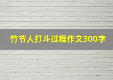 竹节人打斗过程作文300字