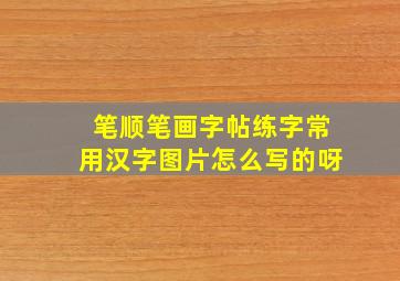 笔顺笔画字帖练字常用汉字图片怎么写的呀