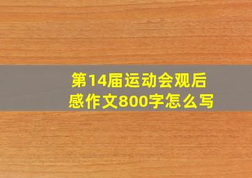 第14届运动会观后感作文800字怎么写