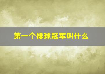 第一个排球冠军叫什么