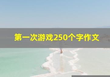 第一次游戏250个字作文