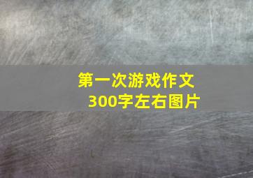 第一次游戏作文300字左右图片