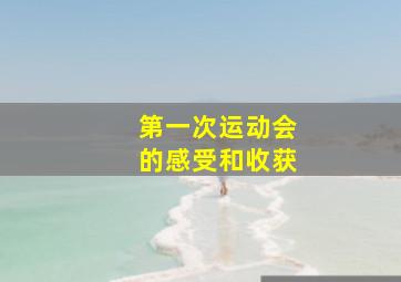 第一次运动会的感受和收获